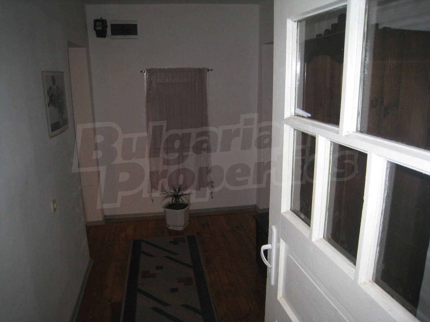 Gallery Picture 6