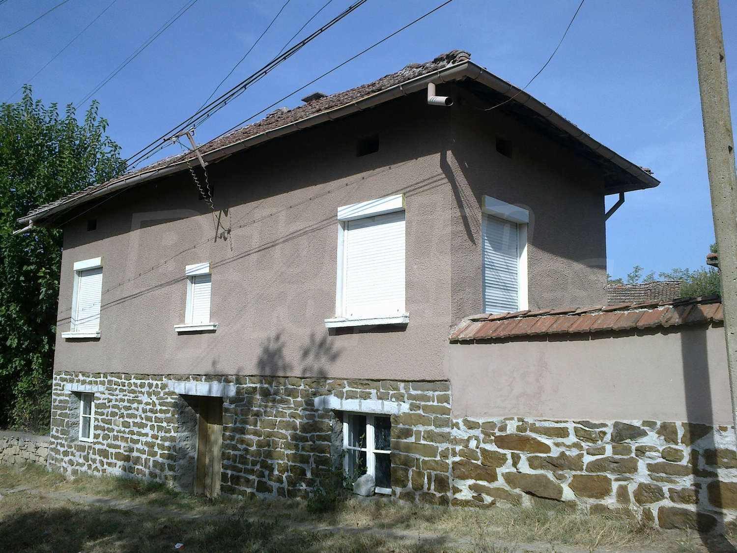 Gallery Picture 68