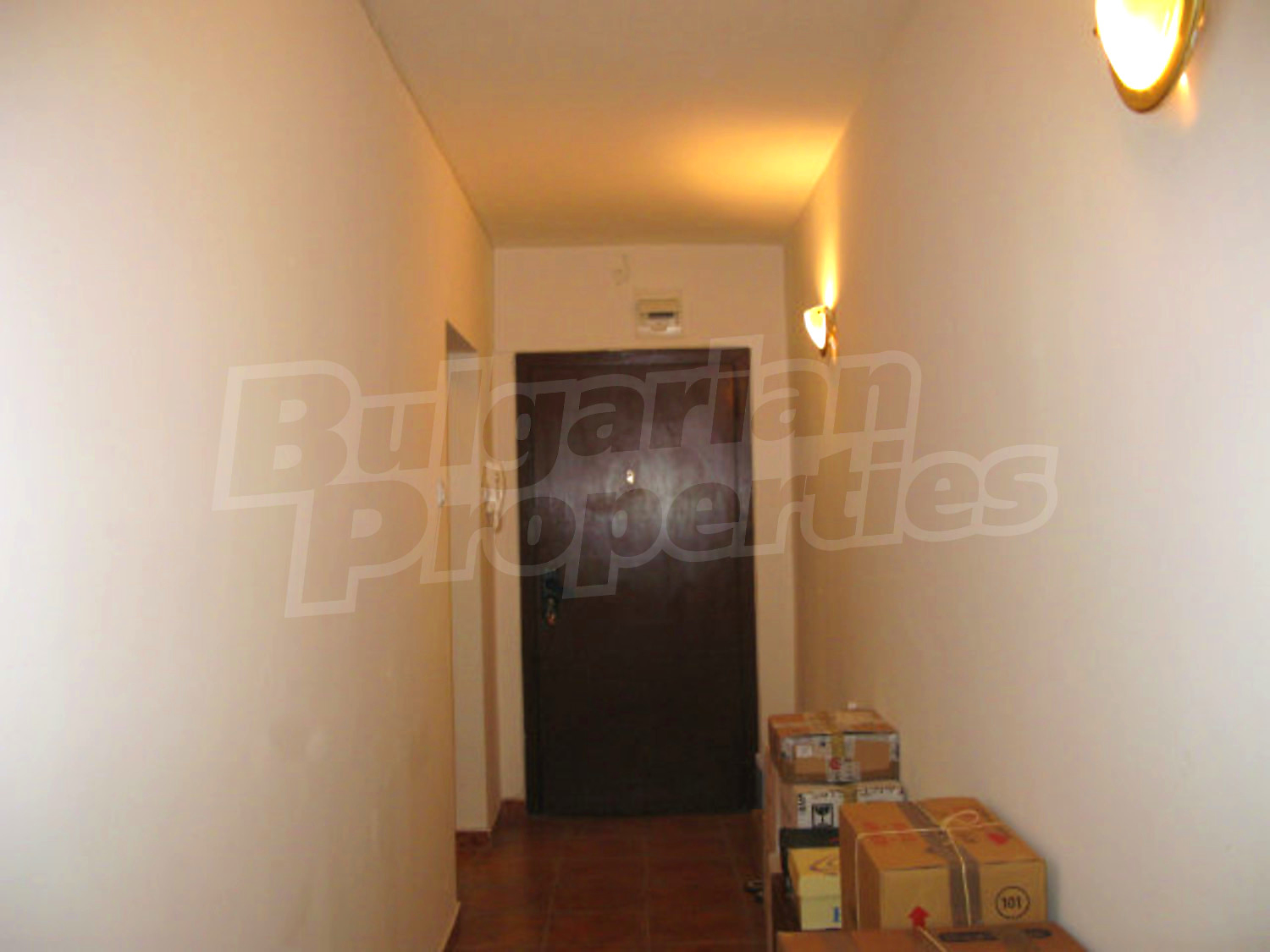 Gallery Picture 11