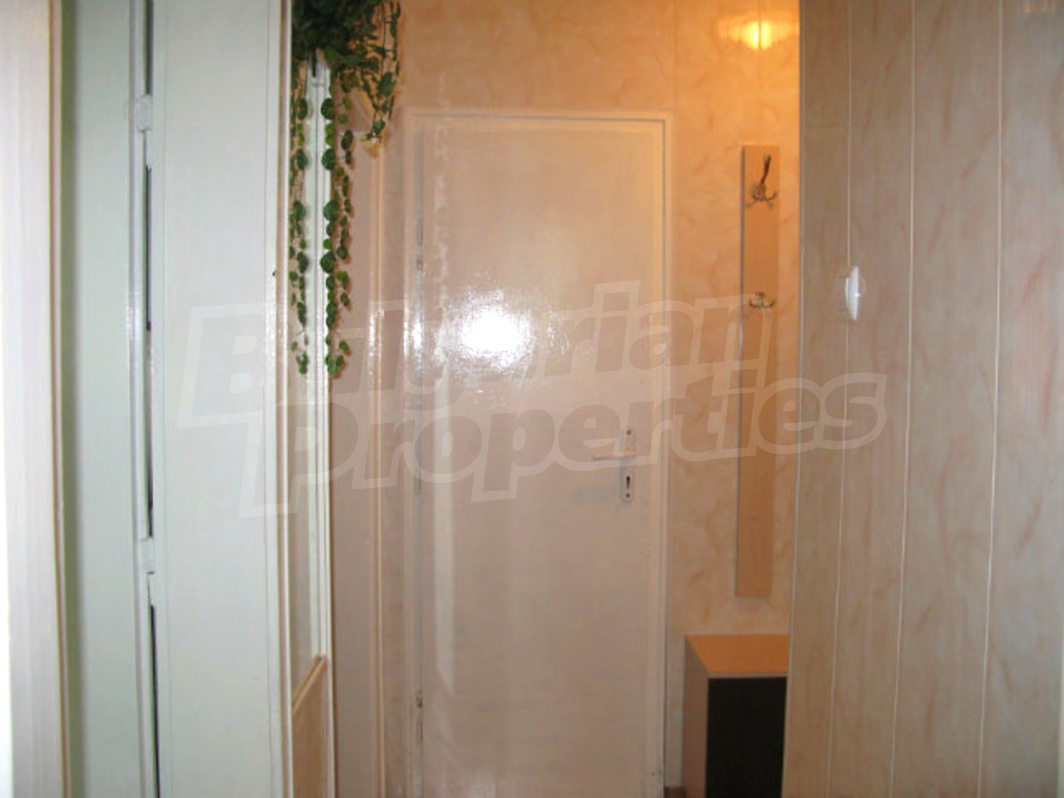 Gallery Picture 13