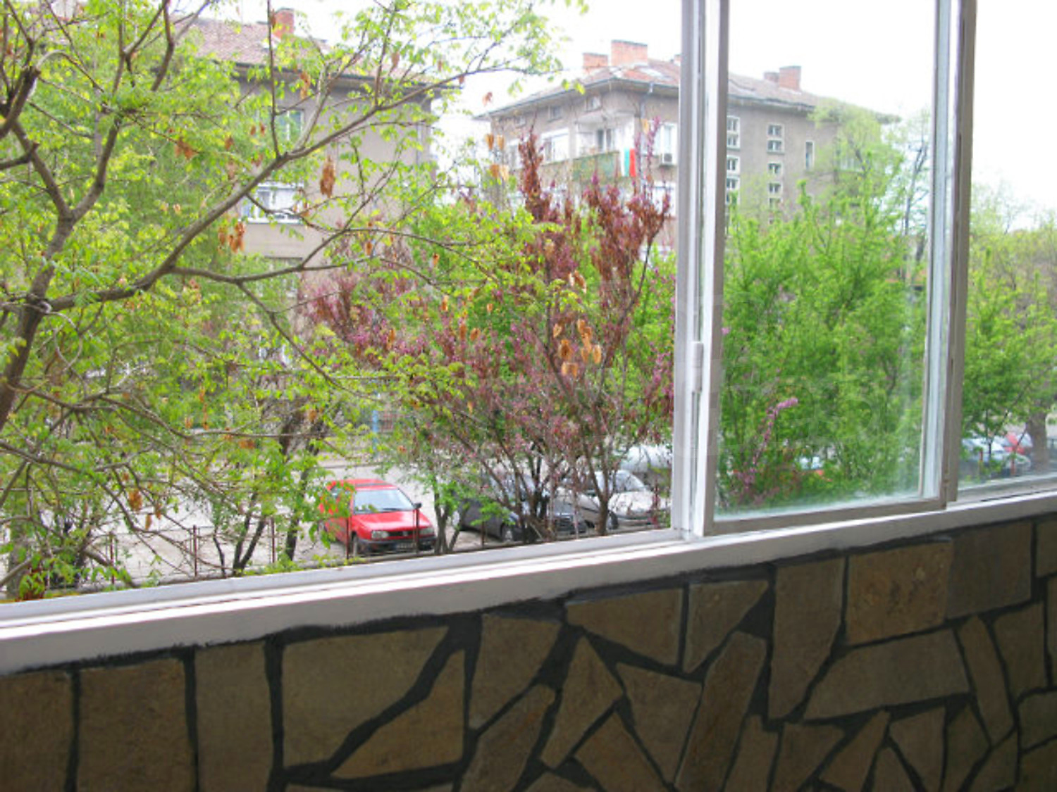 Gallery Picture 17