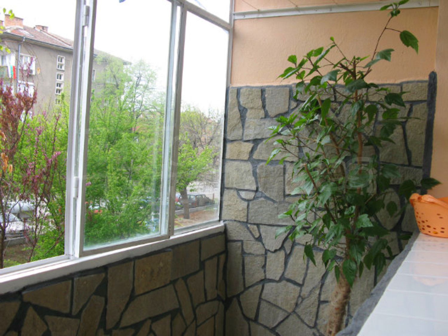 Gallery Picture 19