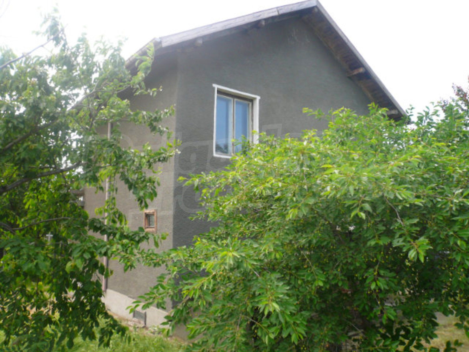 Gallery Picture 18