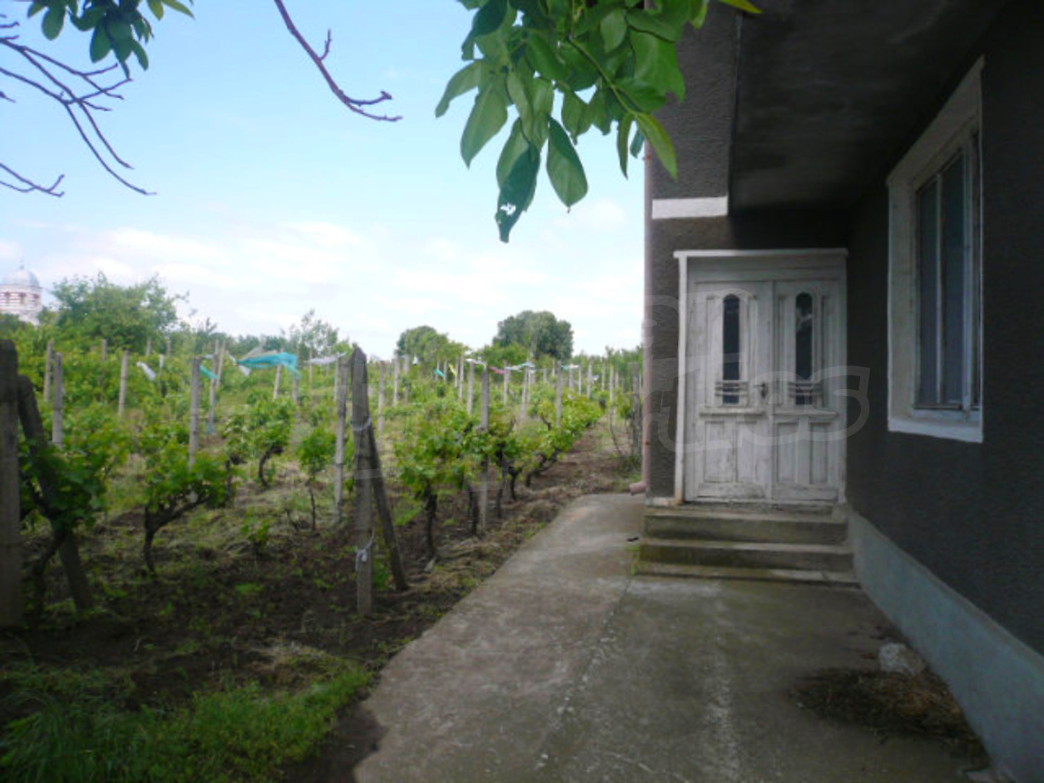 Gallery Picture 6
