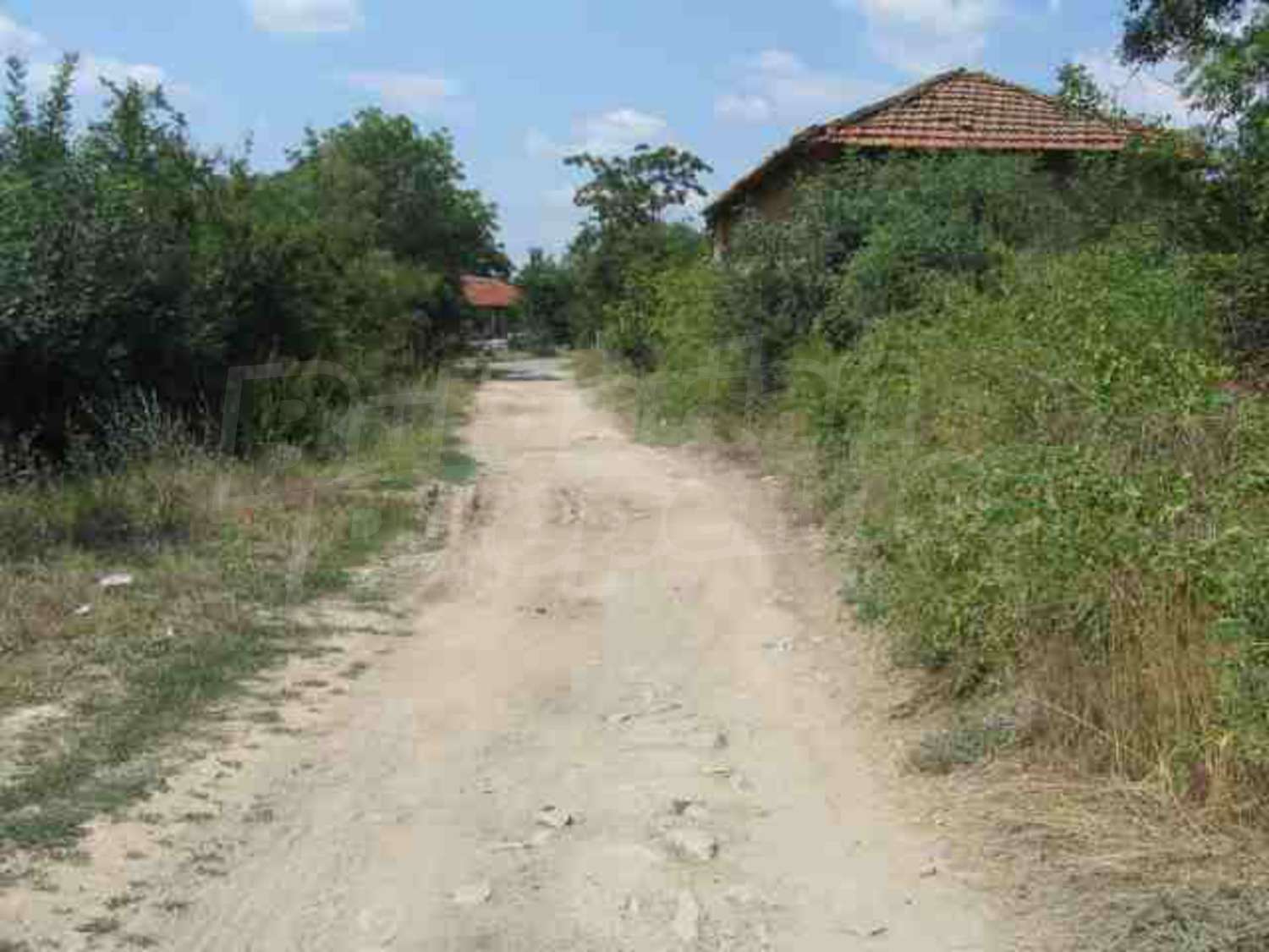 Gallery Picture 10
