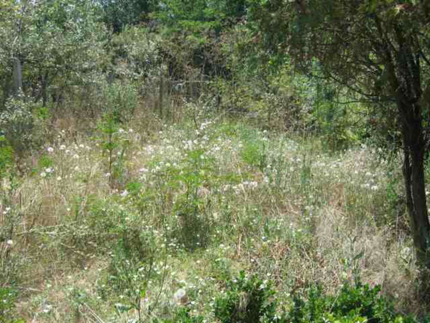 Gallery Picture 7