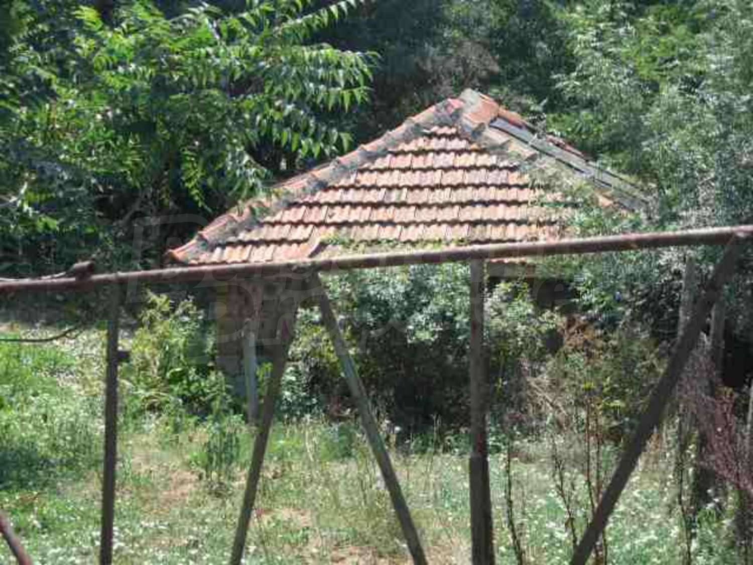 Gallery Picture 8