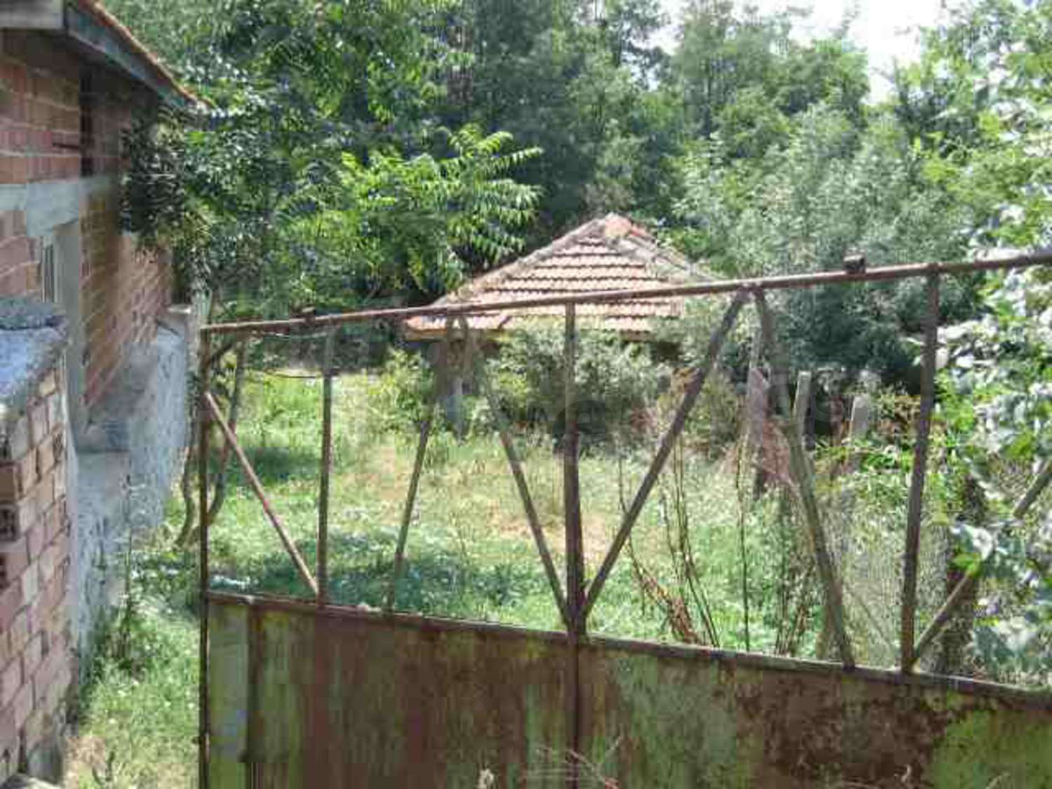 Gallery Picture 9