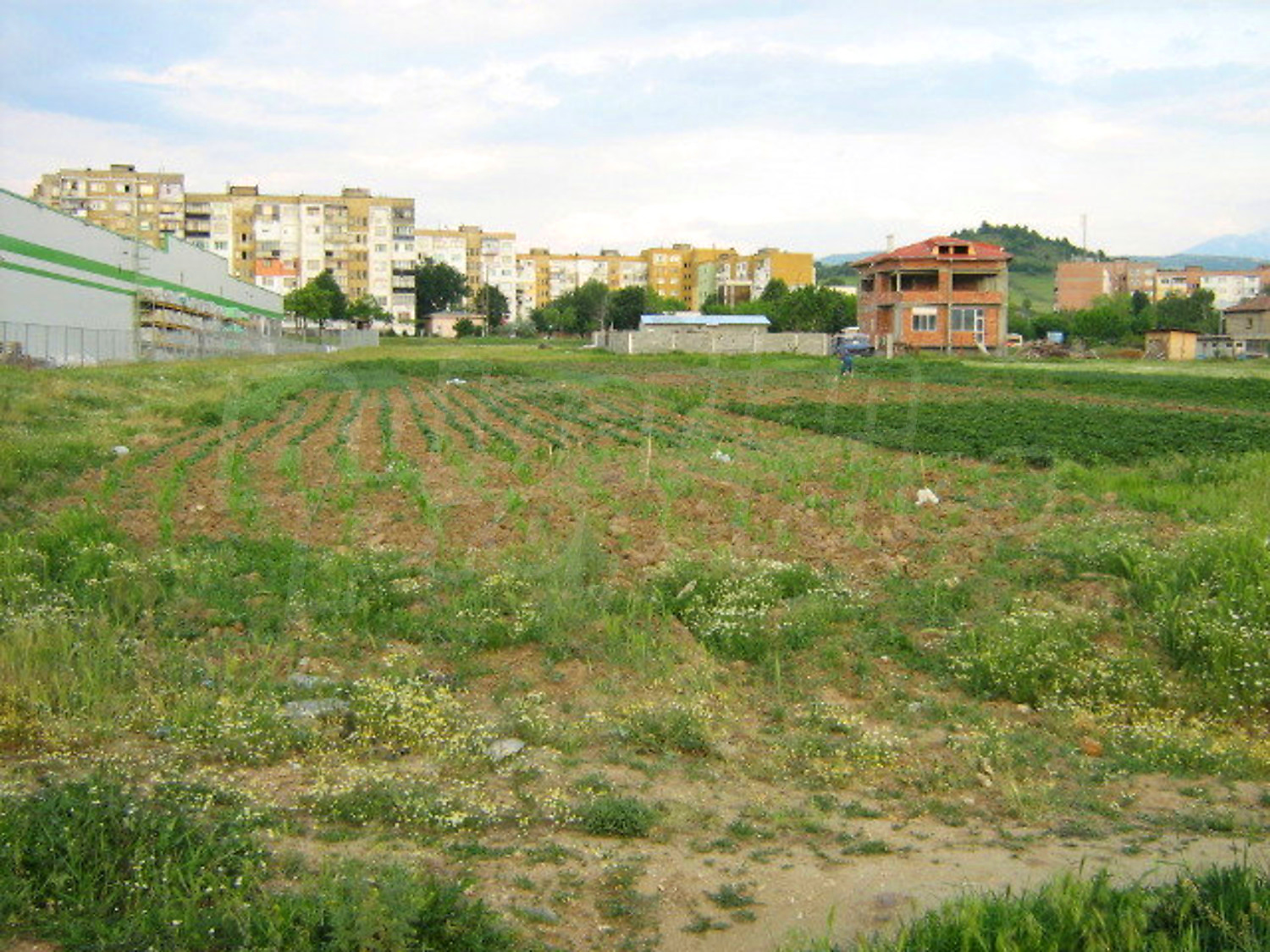 Gallery Picture 12