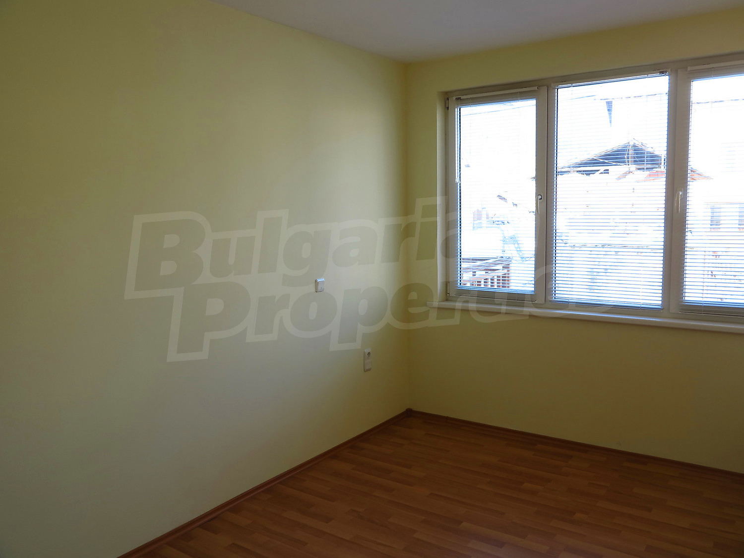 Gallery Picture 10