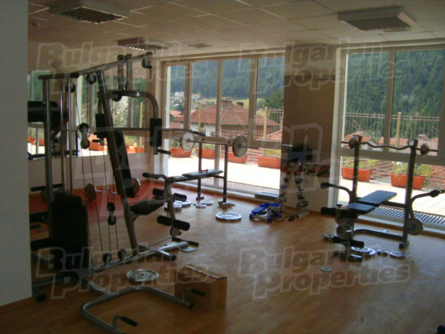 Gallery Picture 21