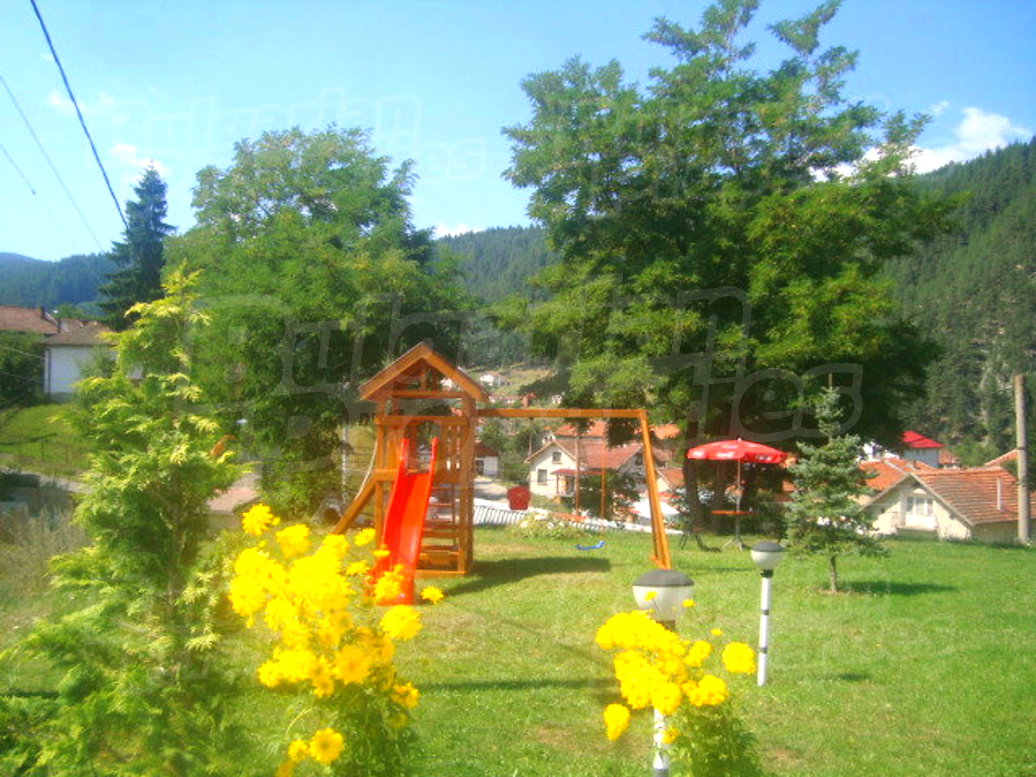 Gallery Picture 26