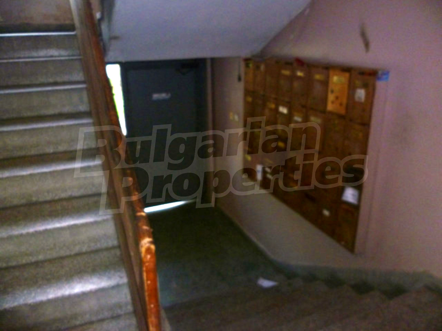 Gallery Picture 23