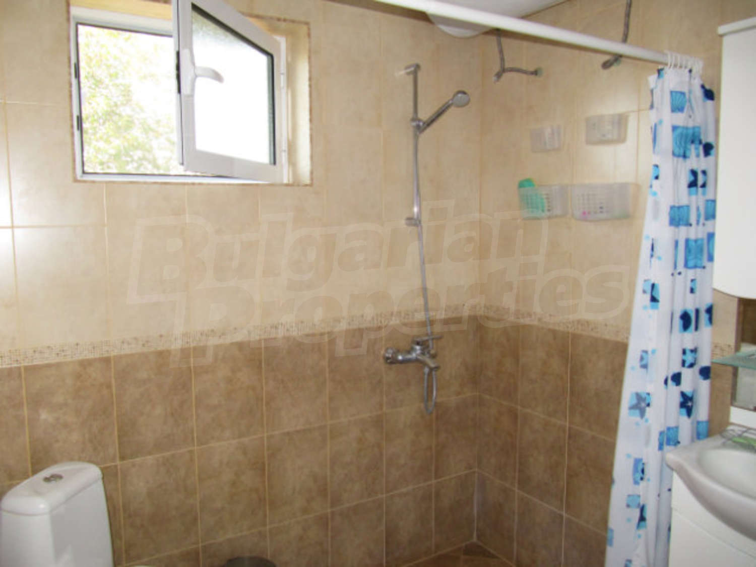 Gallery Picture 29