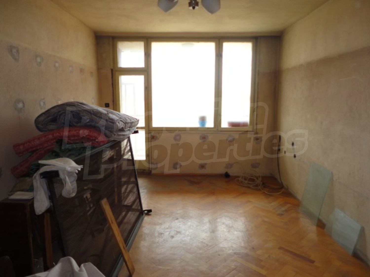 Gallery Picture 13