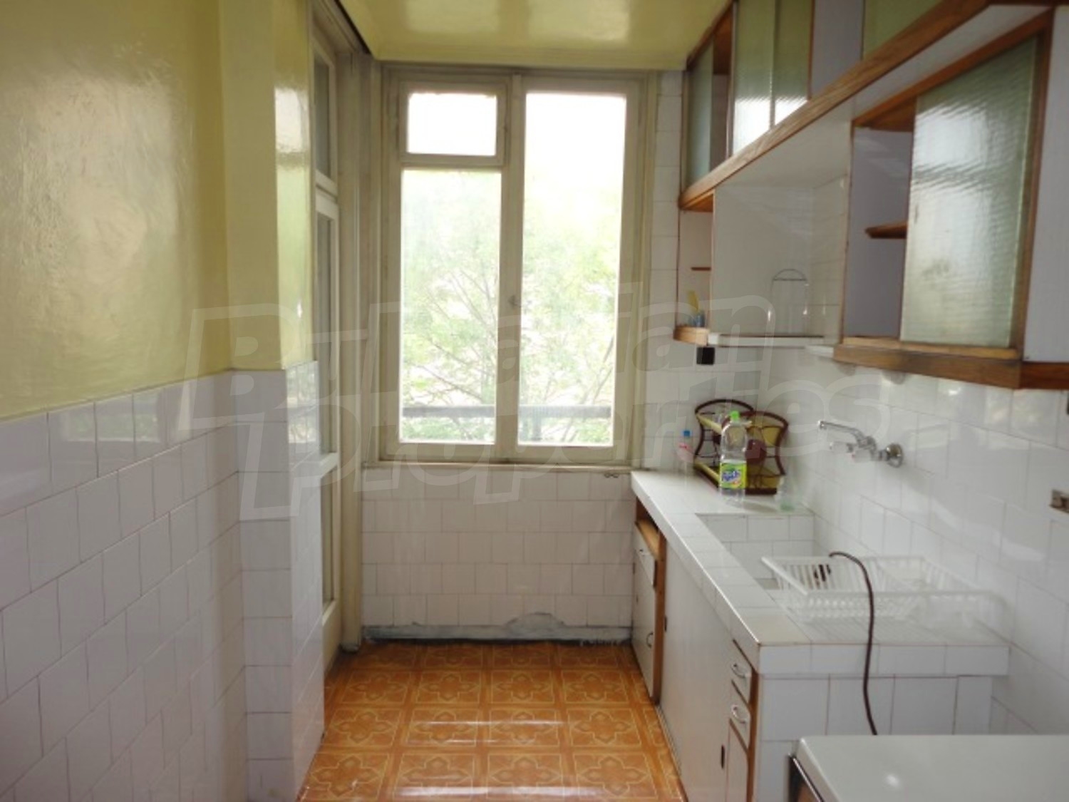 Gallery Picture 15
