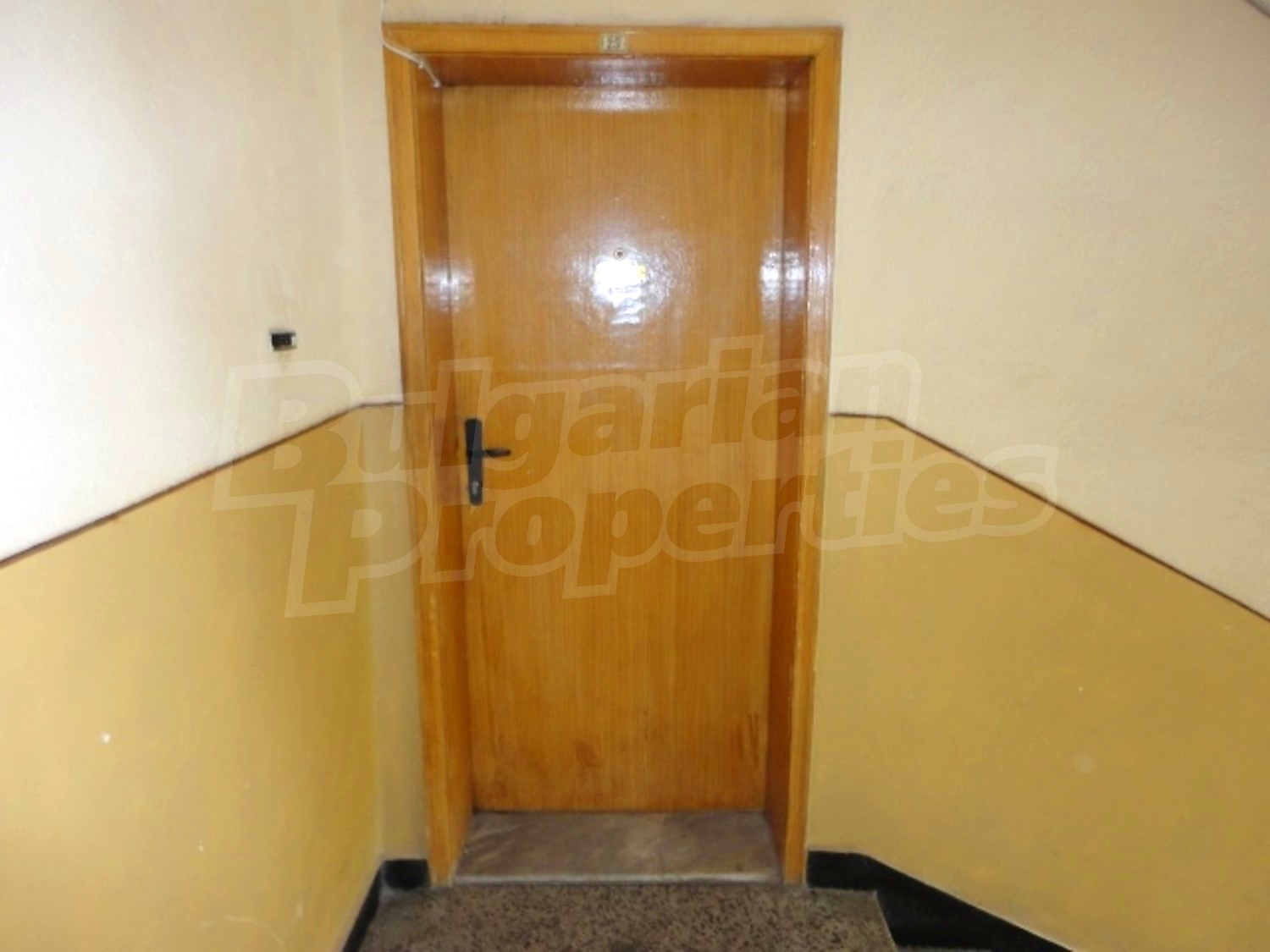 Gallery Picture 26