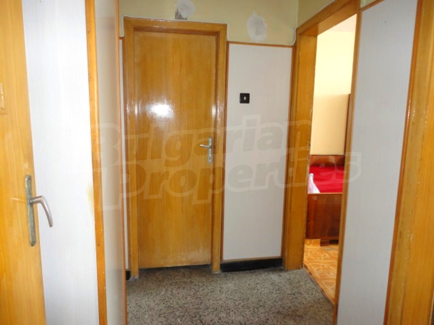 Gallery Picture 6