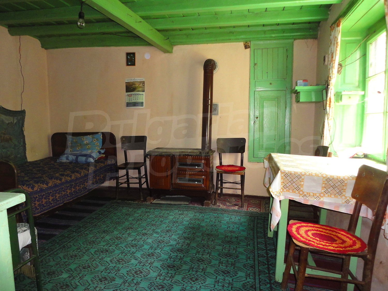 Gallery Picture 10