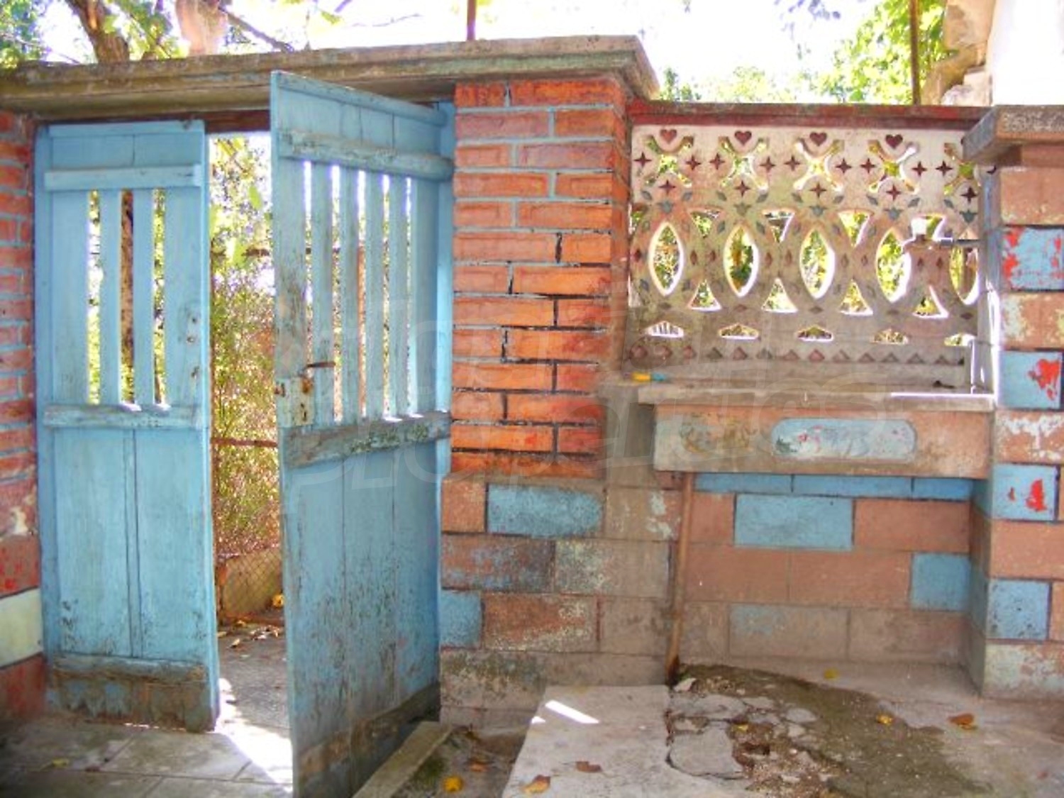 Gallery Picture 27
