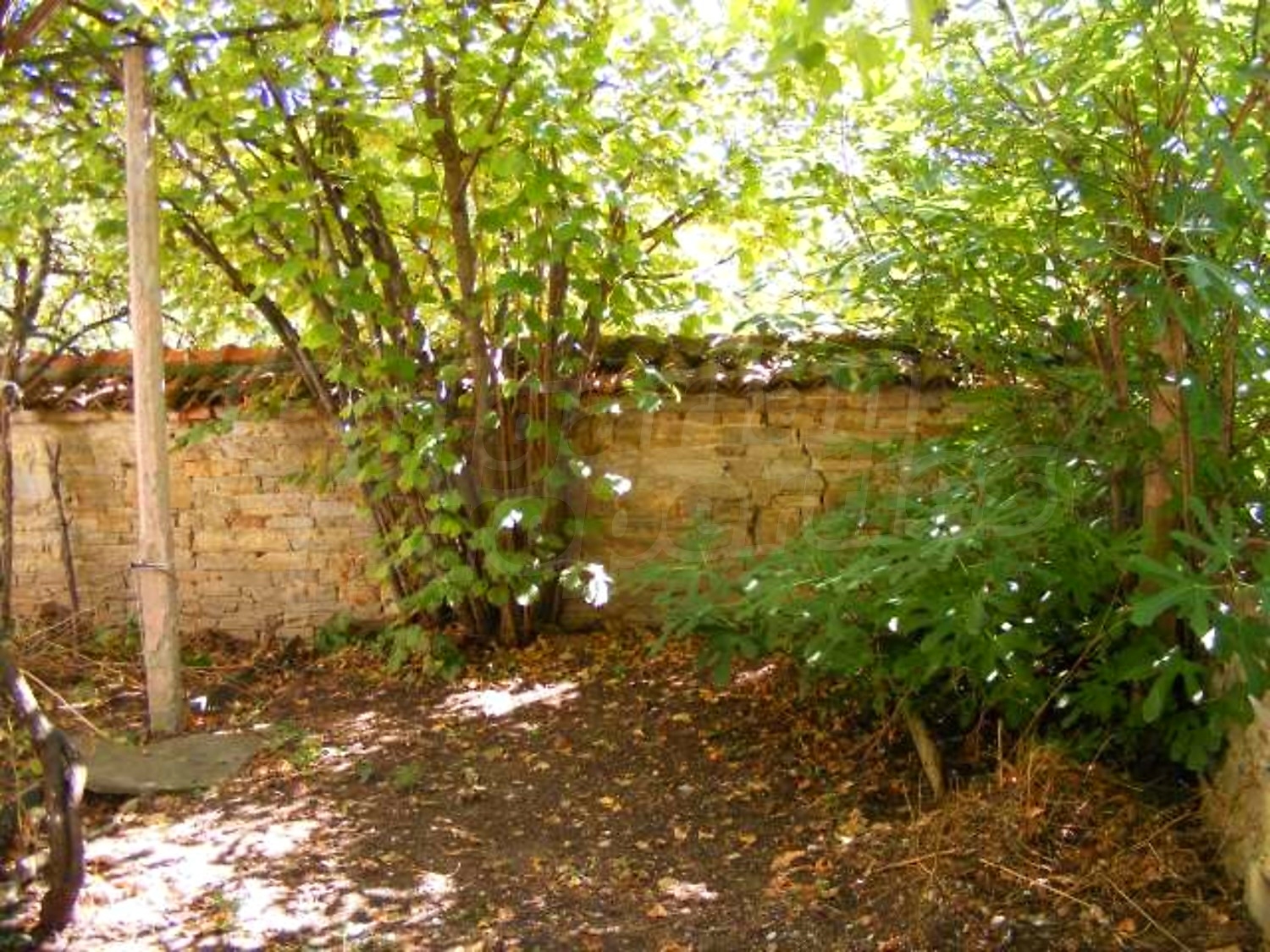 Gallery Picture 29