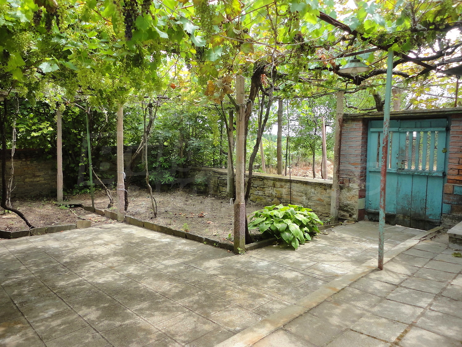 Gallery Picture 30