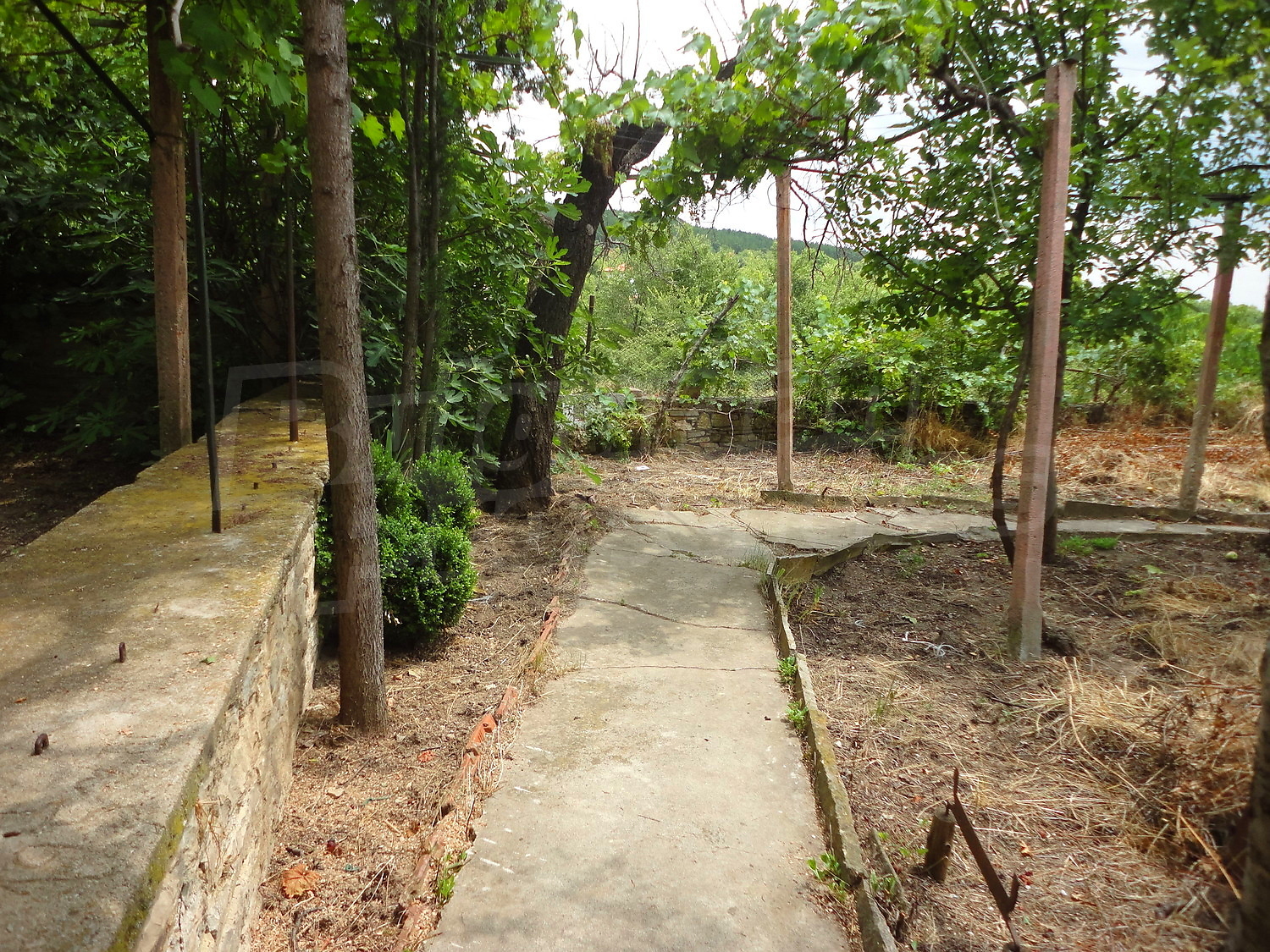 Gallery Picture 31
