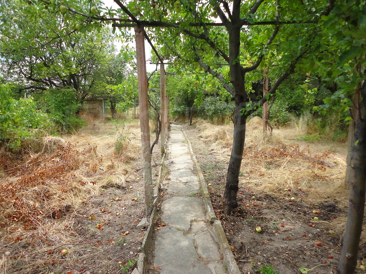 Gallery Picture 32
