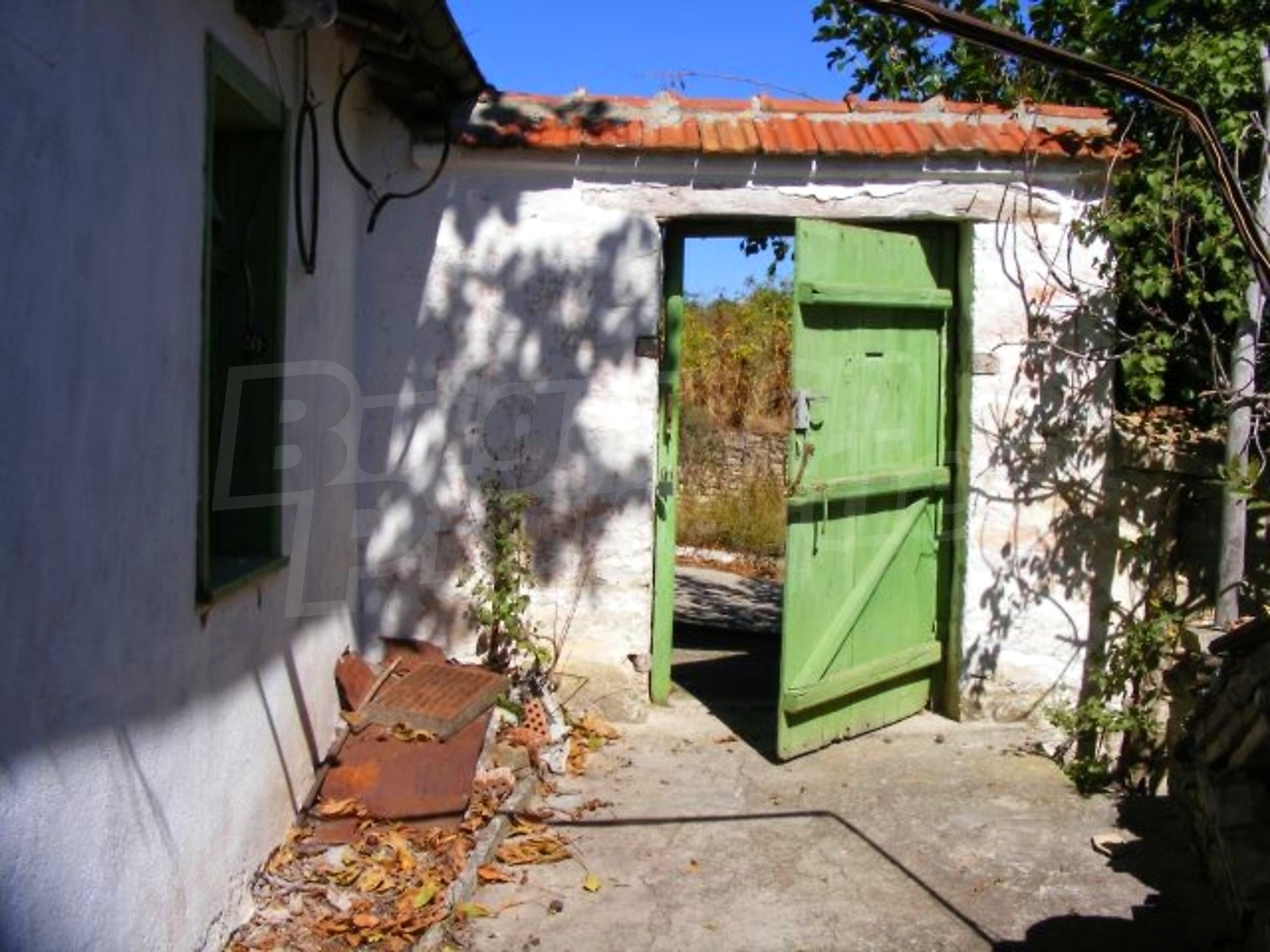 Gallery Picture 39