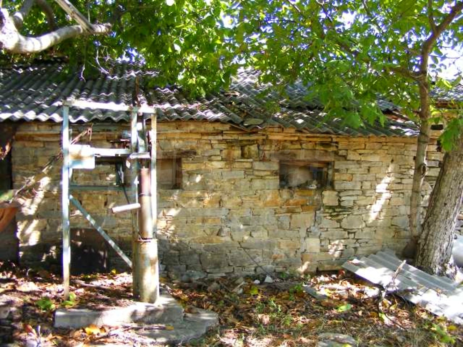 Gallery Picture 41