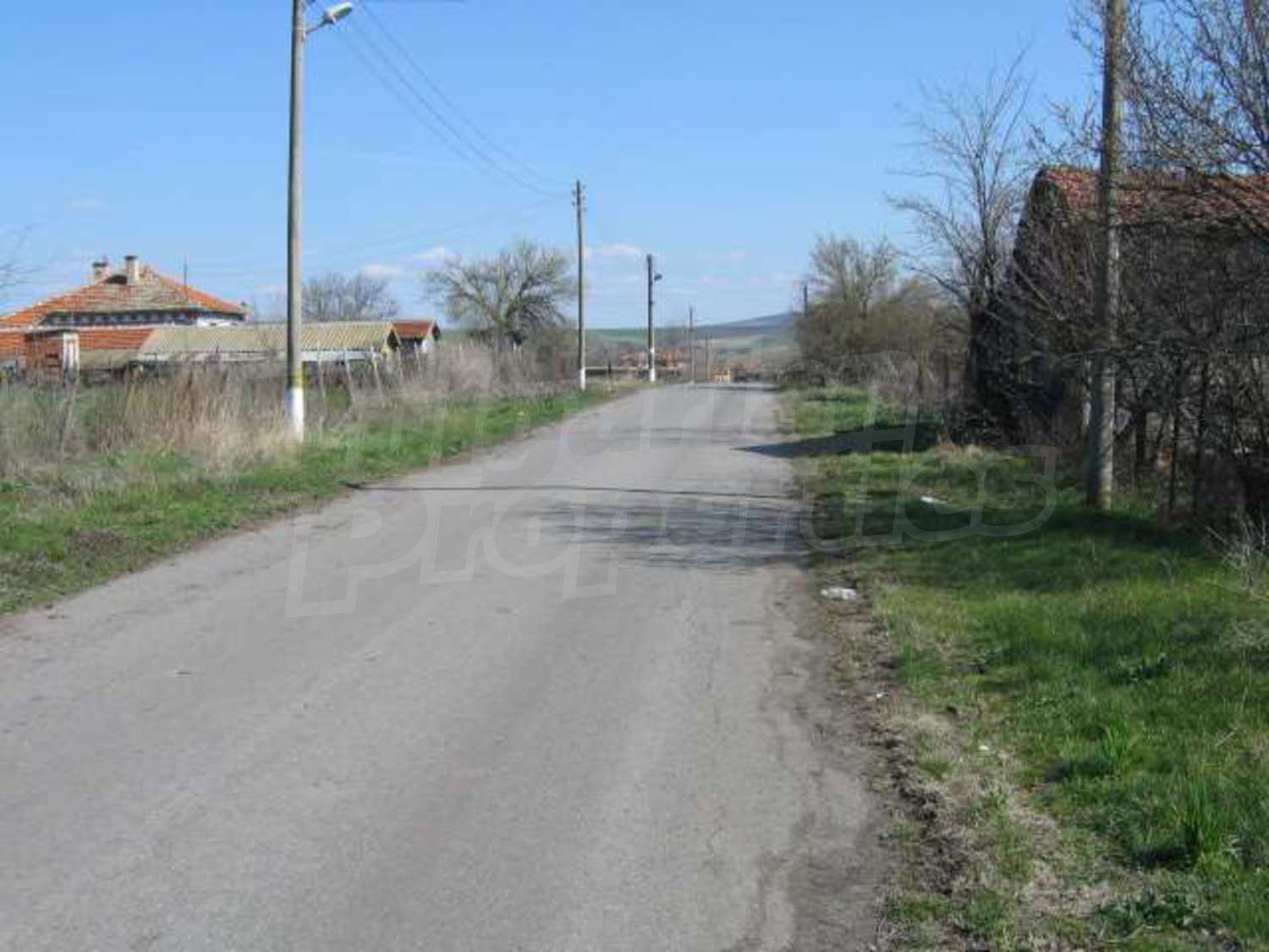 Gallery Picture 10