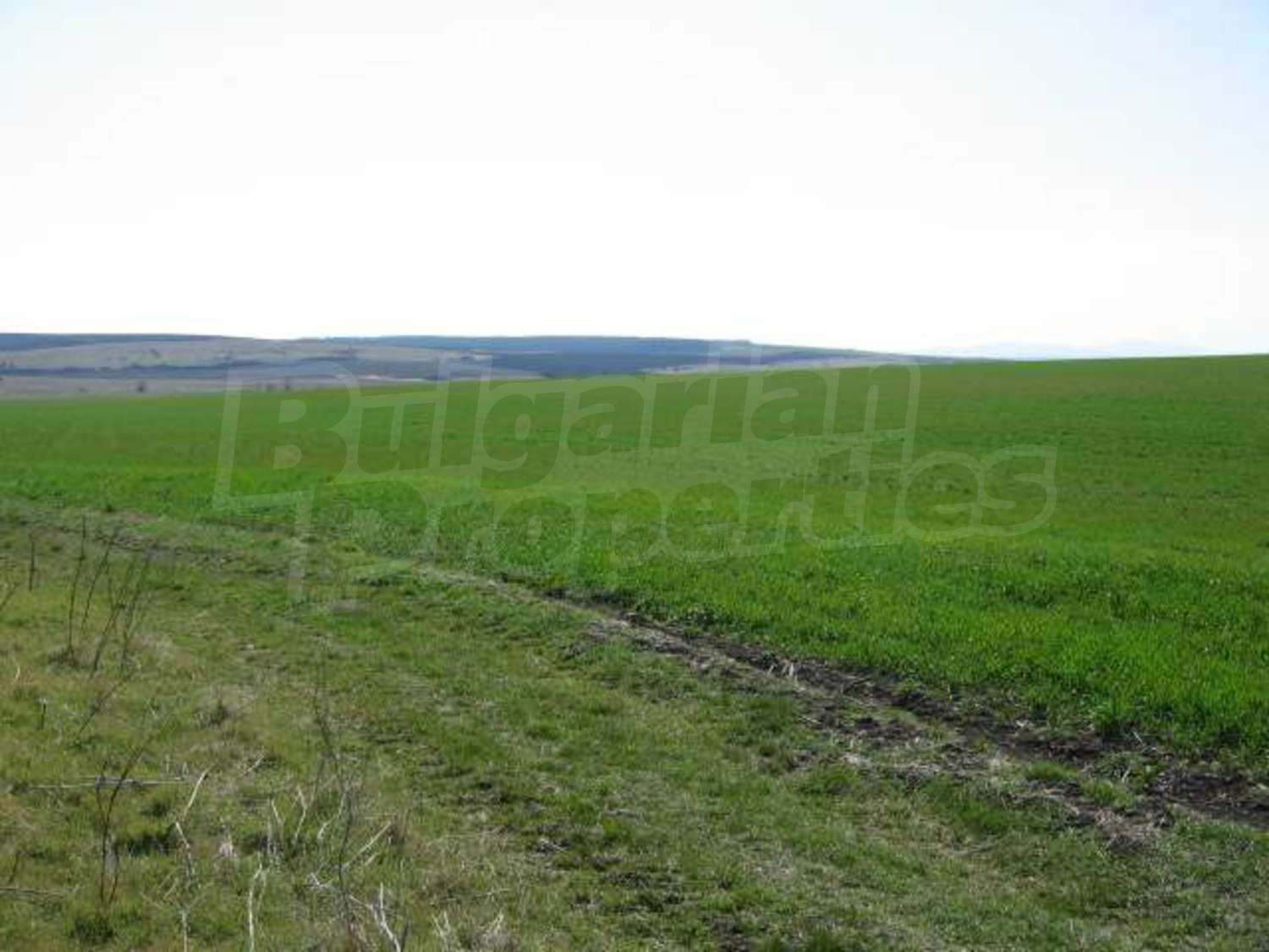 Gallery Picture 7