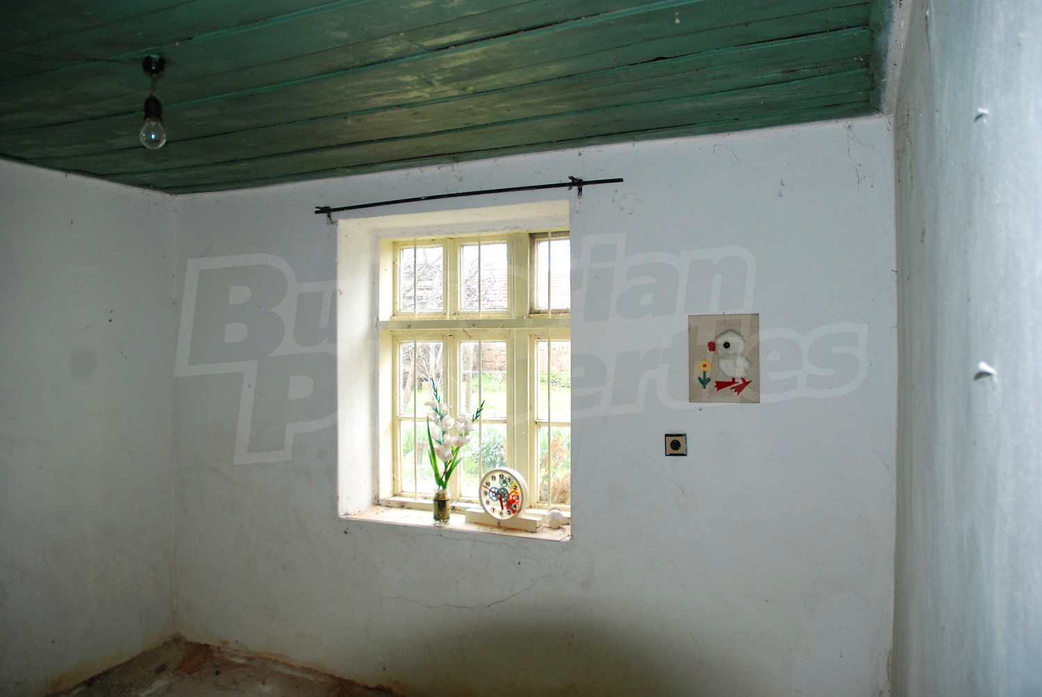 Gallery Picture 11