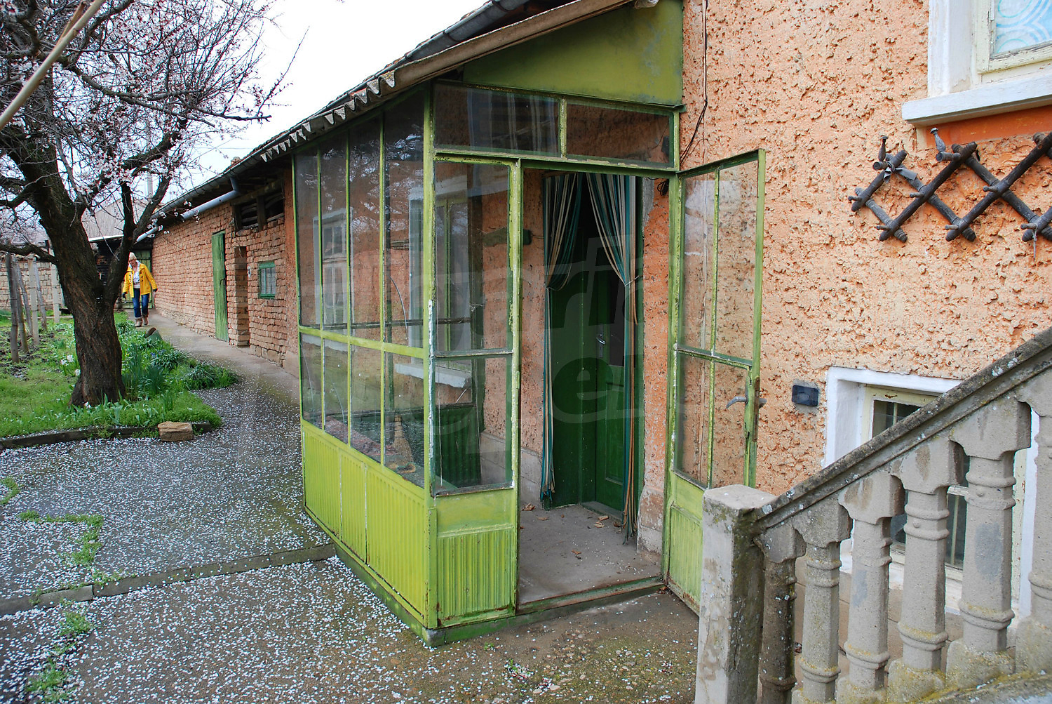 Gallery Picture 14