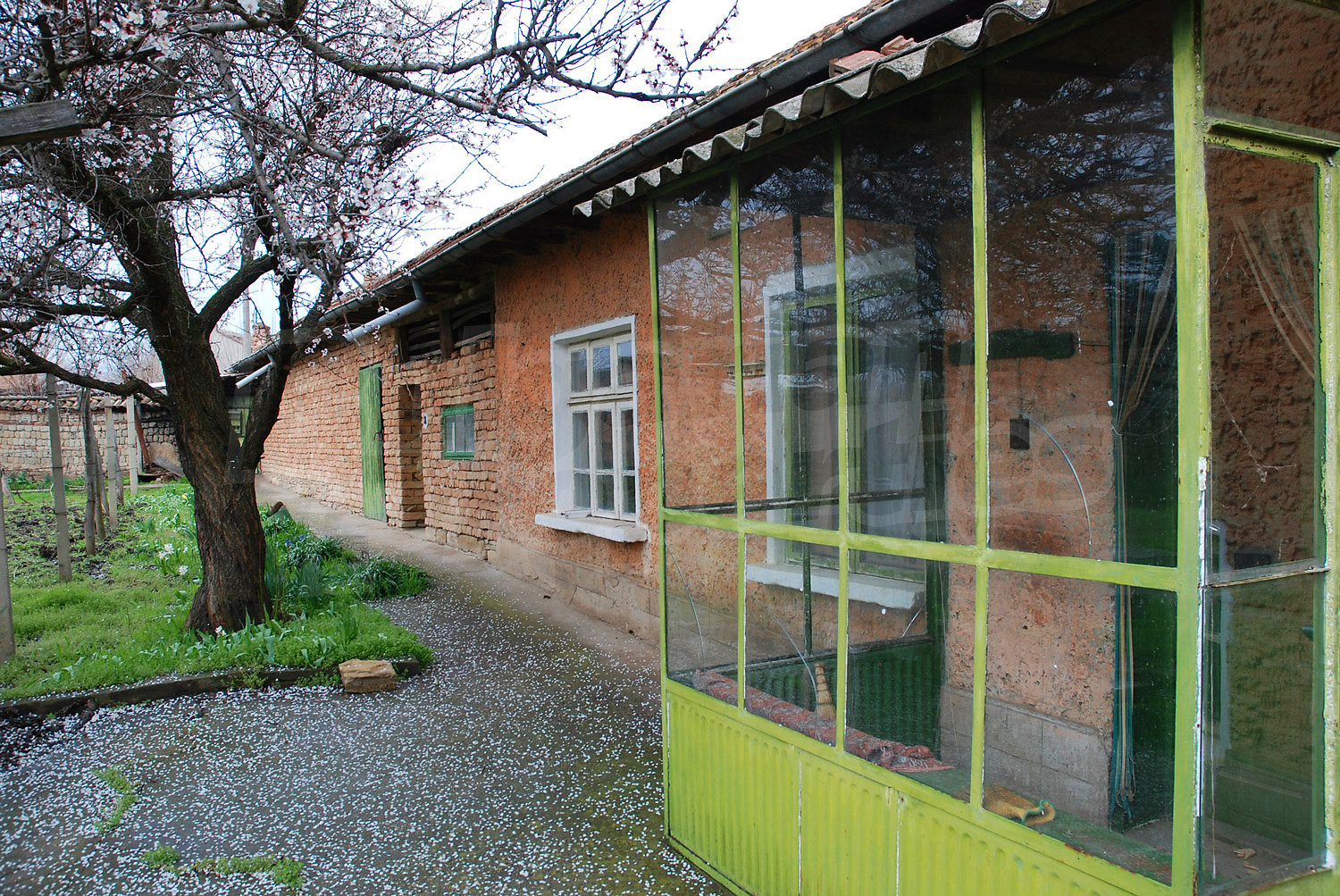 Gallery Picture 19