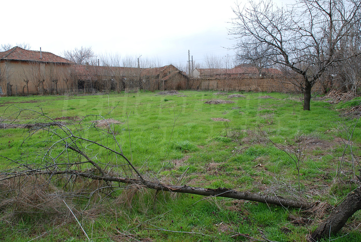 Gallery Picture 30