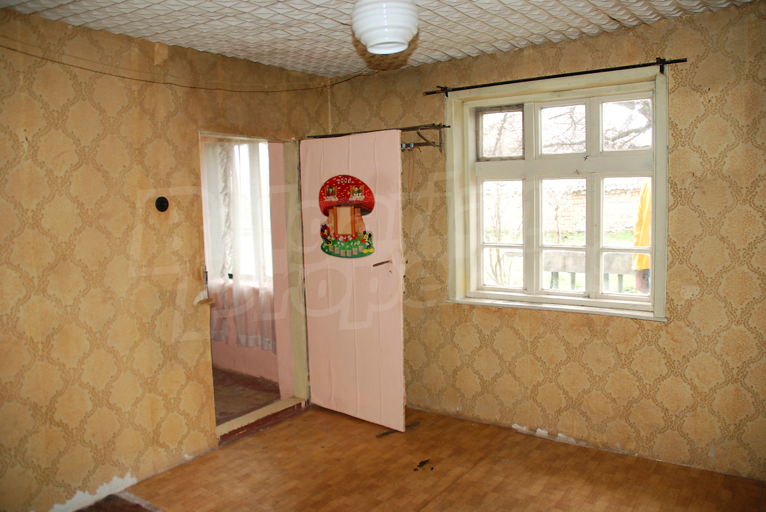 Gallery Picture 9