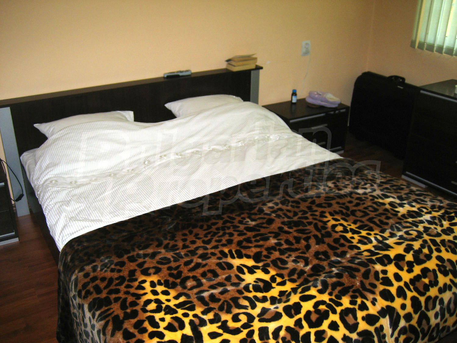 Gallery Picture 17