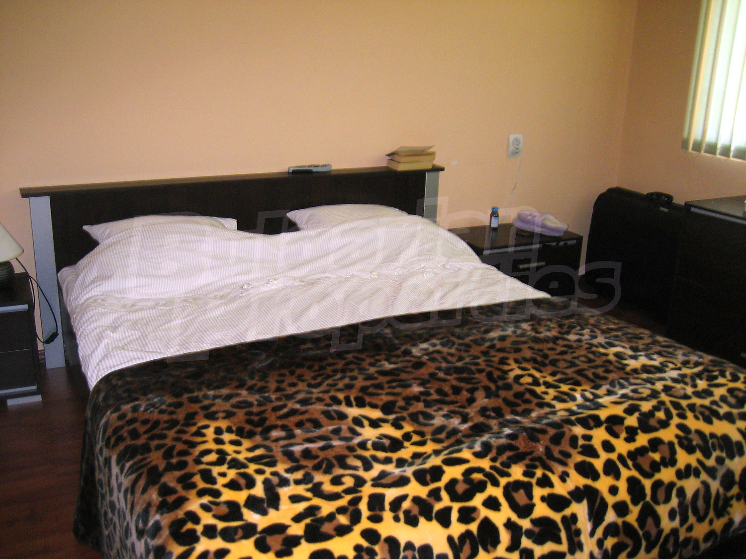 Gallery Picture 22