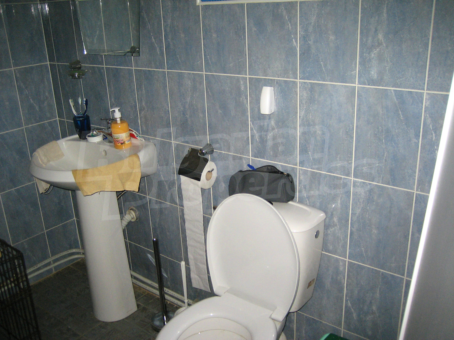 Gallery Picture 29