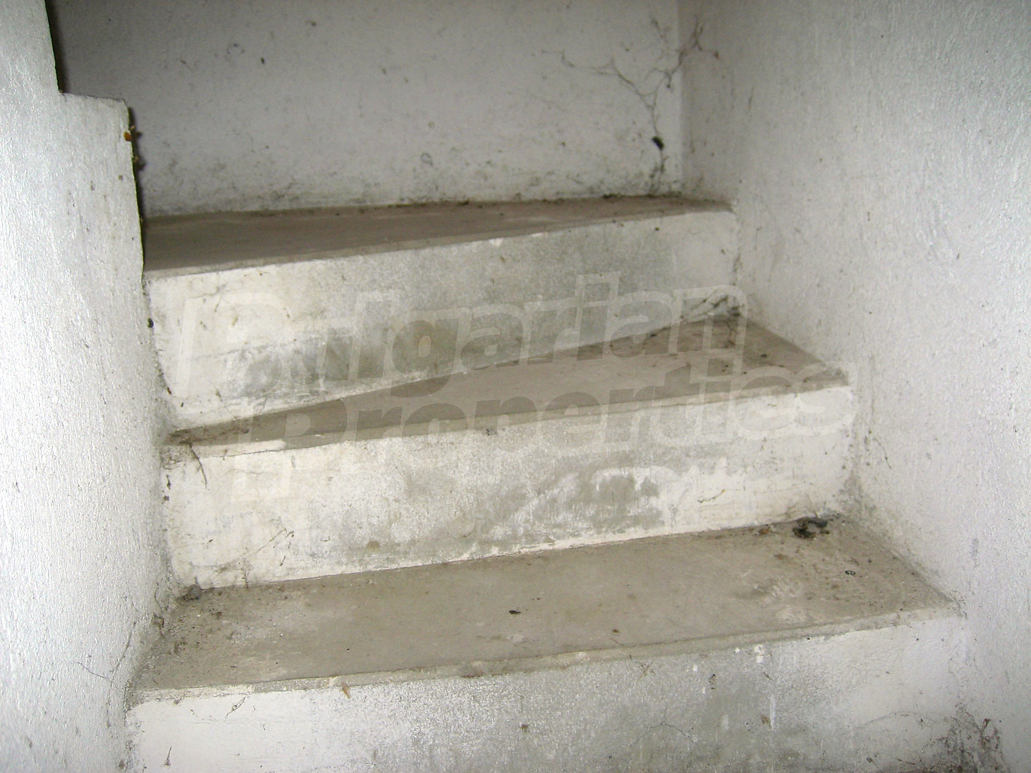 Gallery Picture 31