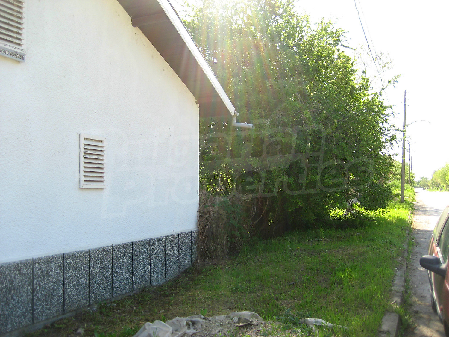 Gallery Picture 36