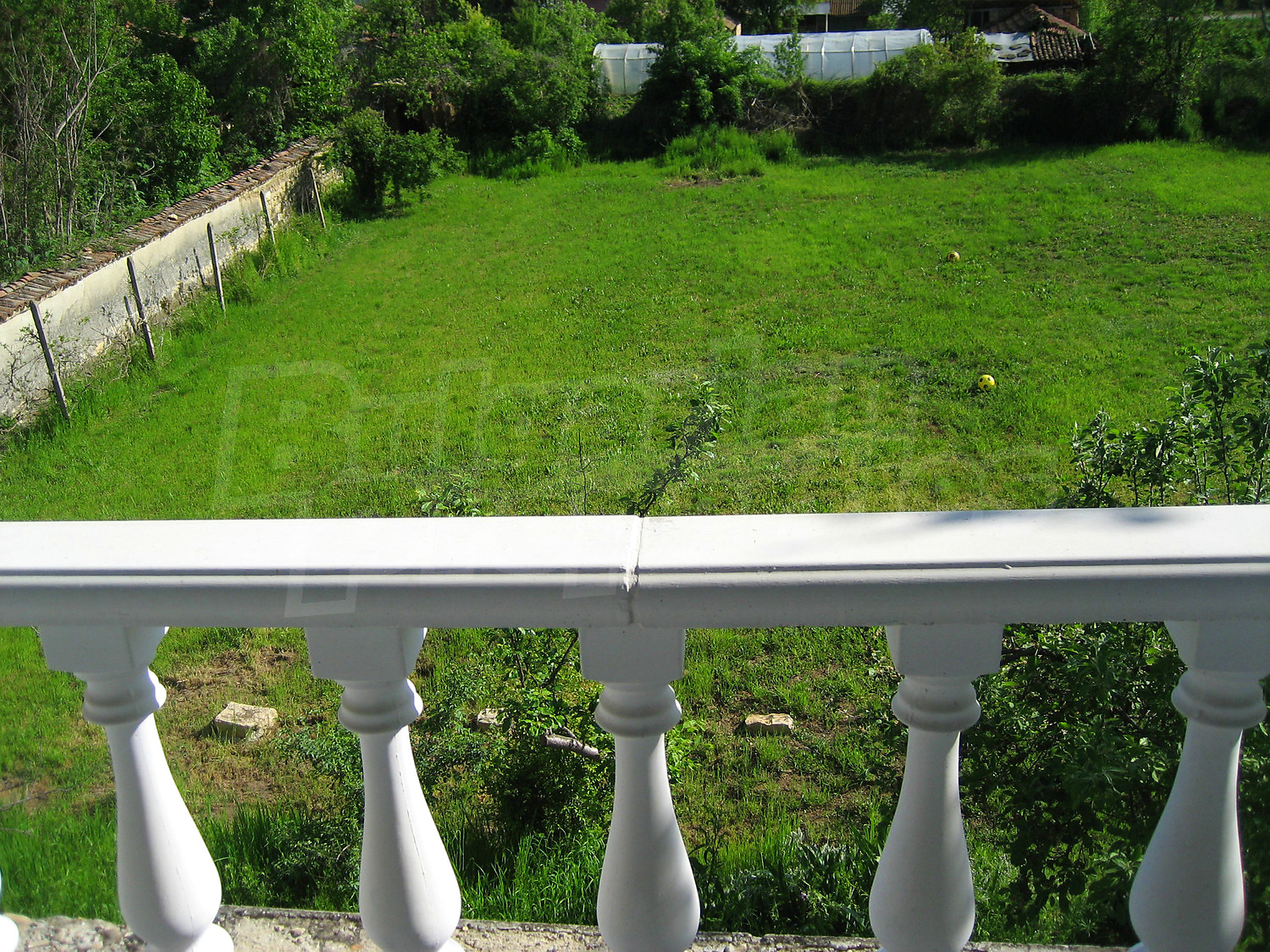Gallery Picture 39