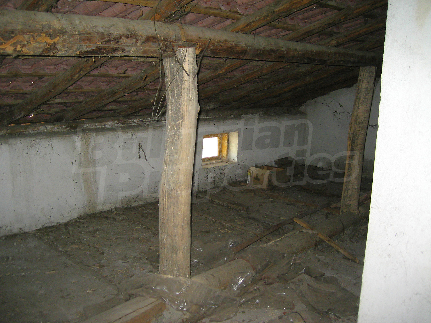 Gallery Picture 44