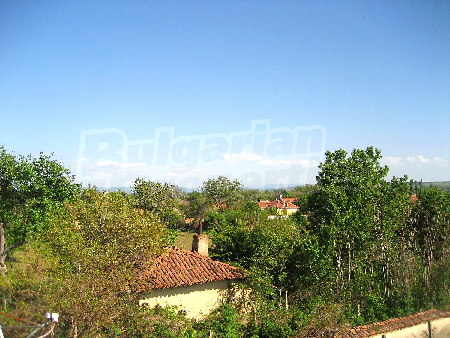 Gallery Picture 45
