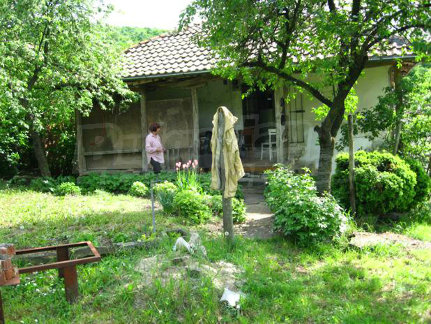 Gallery Picture 8