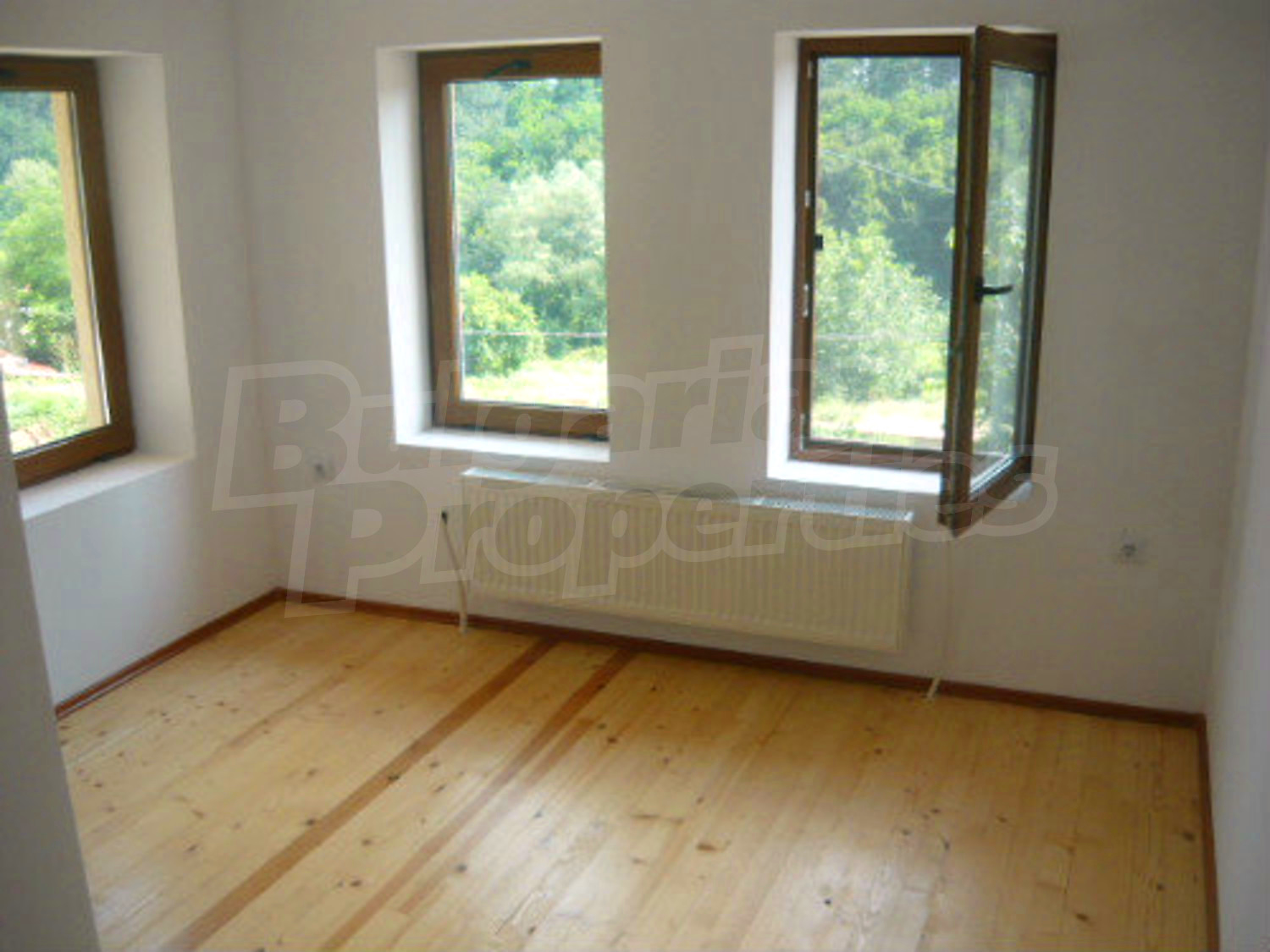 Gallery Picture 11