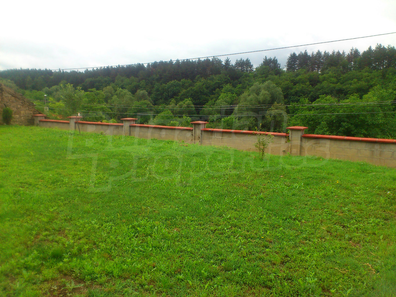 Gallery Picture 14