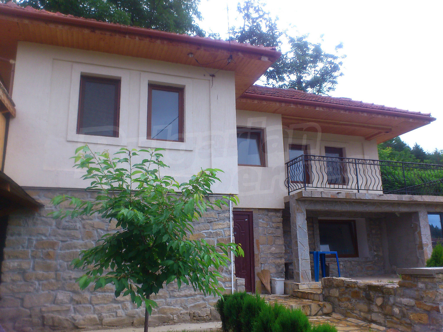 Gallery Picture 39