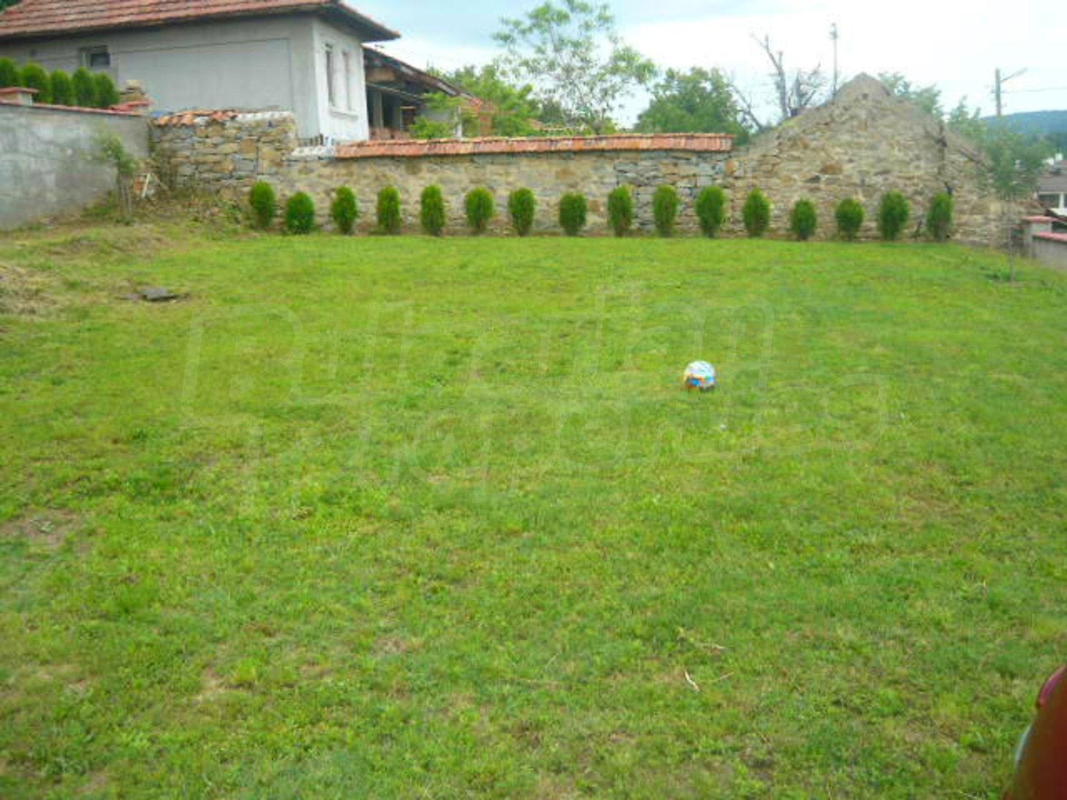 Gallery Picture 54